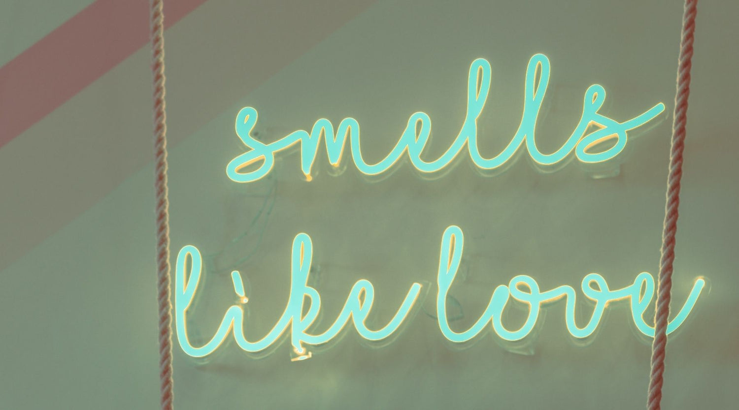 smells like love neon sign