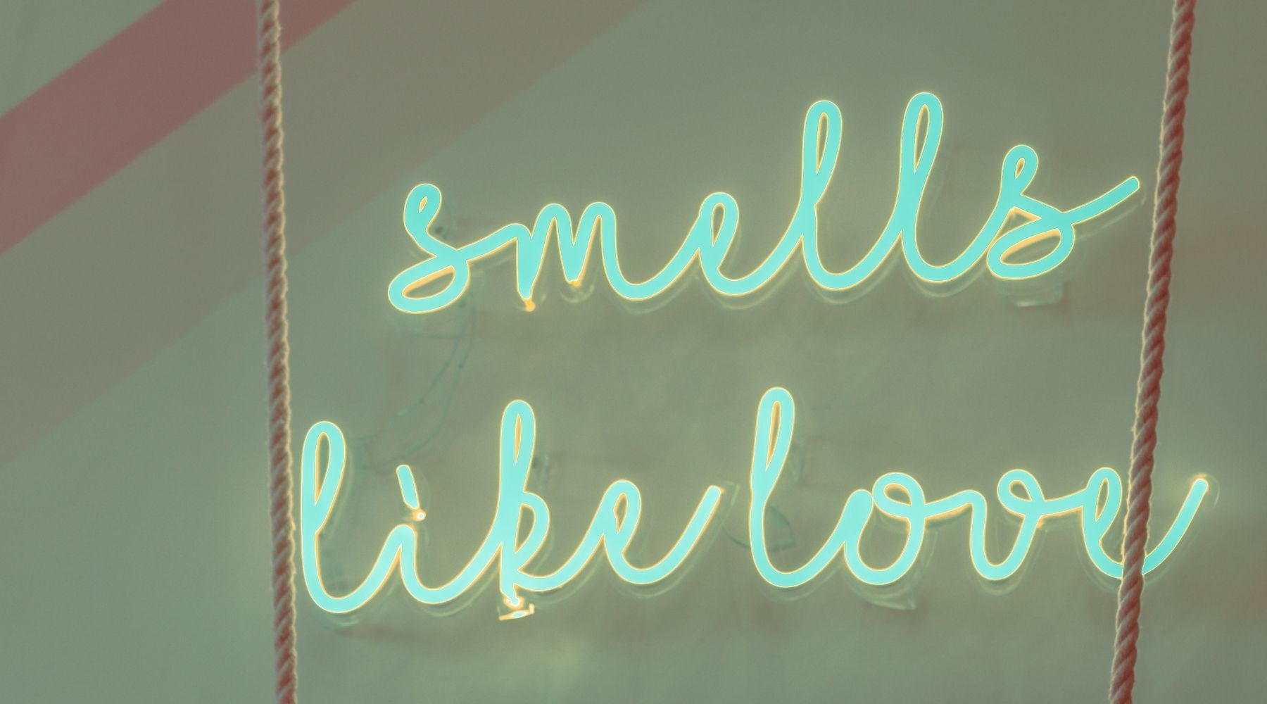 smells like love neon sign