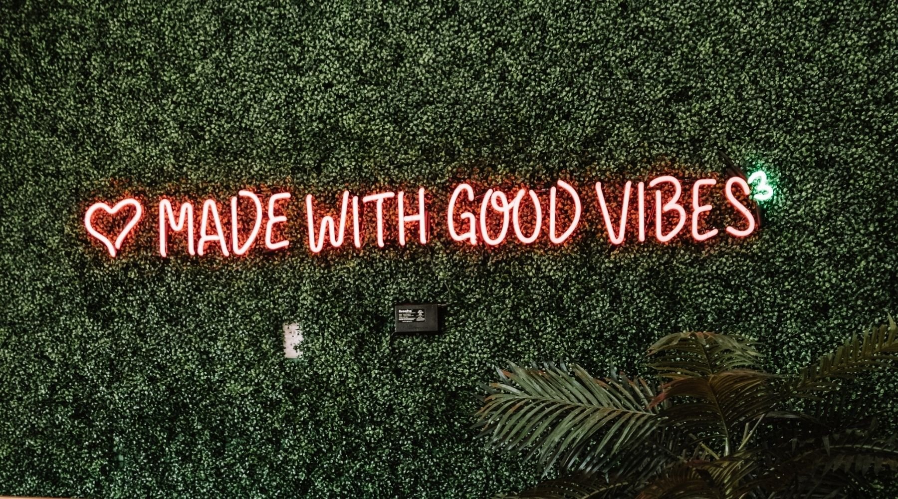 Customizable Neon Signs for Interior Design: A Complete Guide