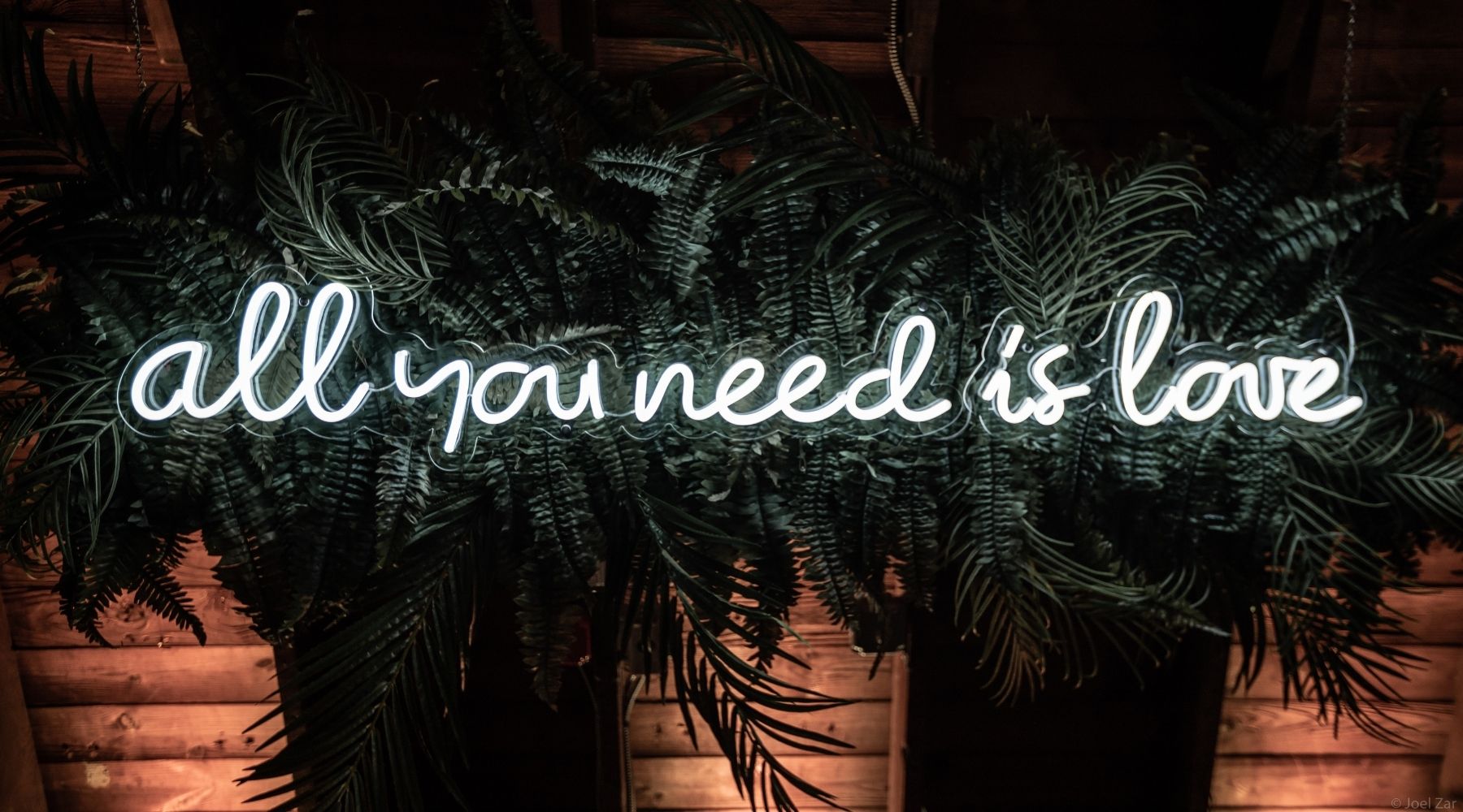 All You Need is love neon sign
