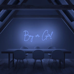 Boy or Girl Neon Sign