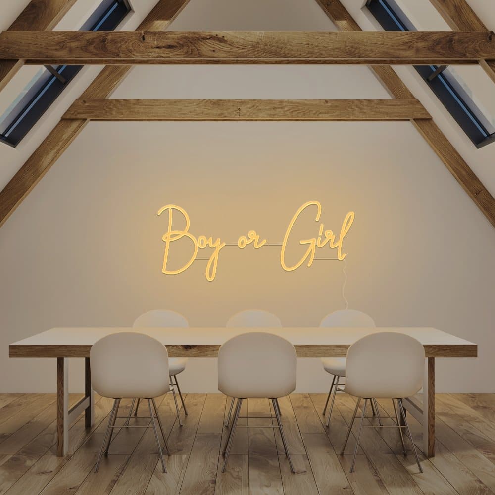 Boy or Girl Neon Sign