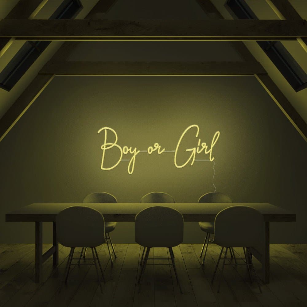 Boy or Girl Neon Sign