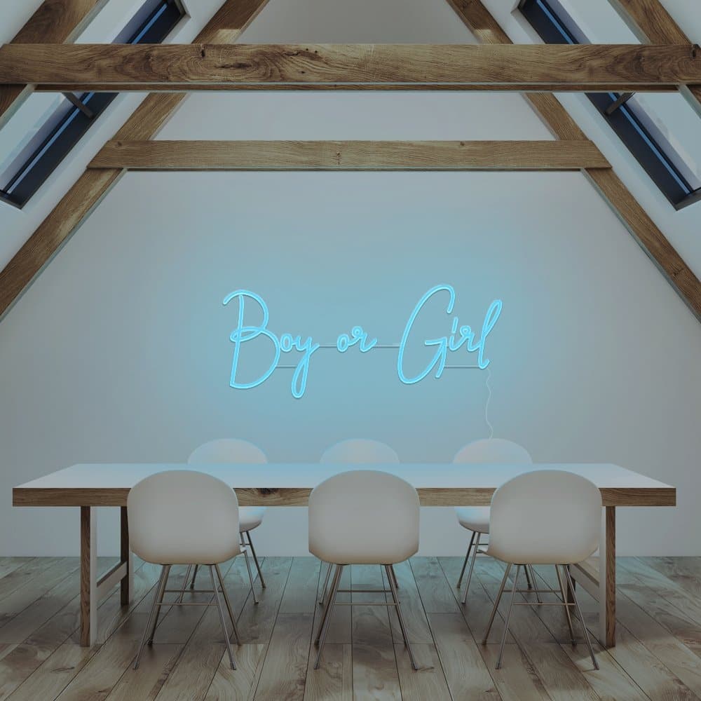 Boy or Girl Neon Sign