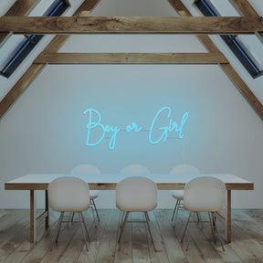 Boy or Girl Neon Sign