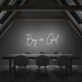 Boy or Girl Neon Sign