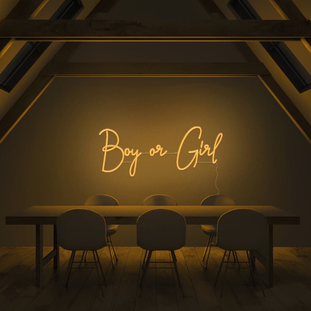 Boy or Girl Neon Sign