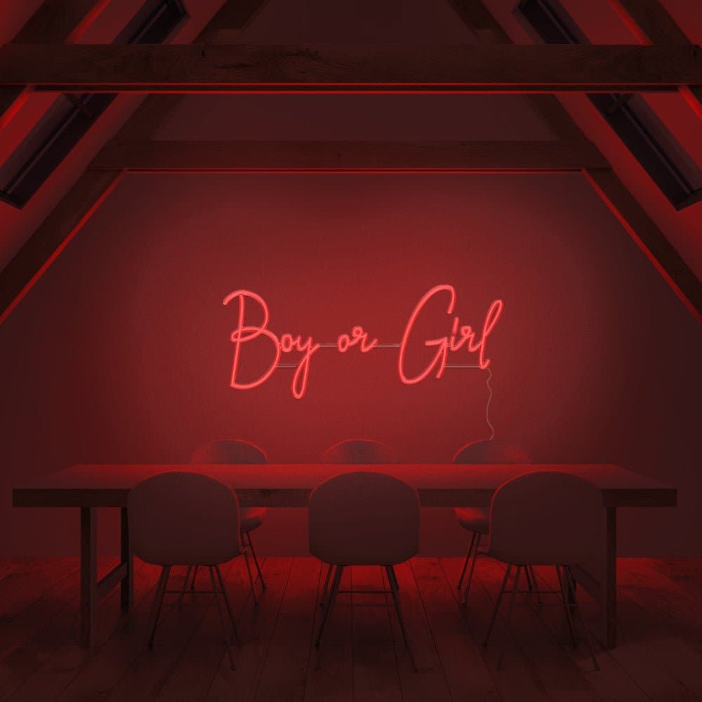 Boy or Girl Neon Sign