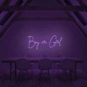 Boy or Girl Neon Sign