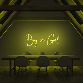 Boy or Girl Neon Sign