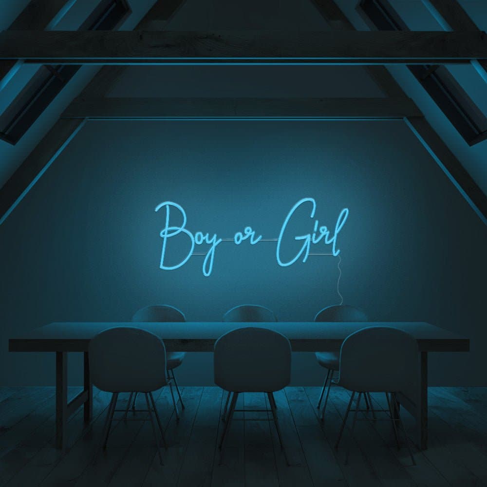 Boy or Girl Neon Sign