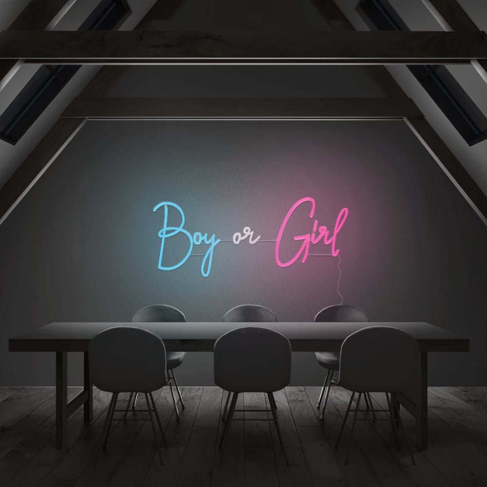 Boy or Girl Neon Sign