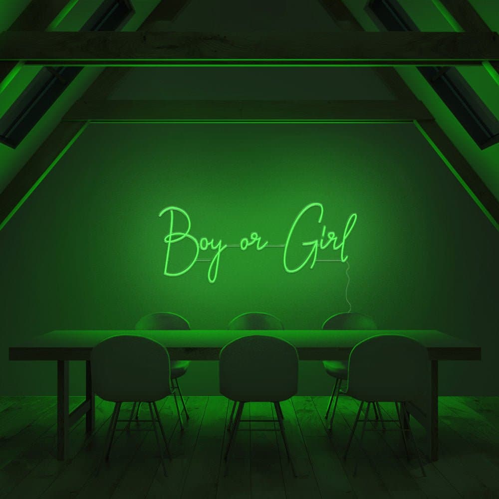 Boy or Girl Neon Sign